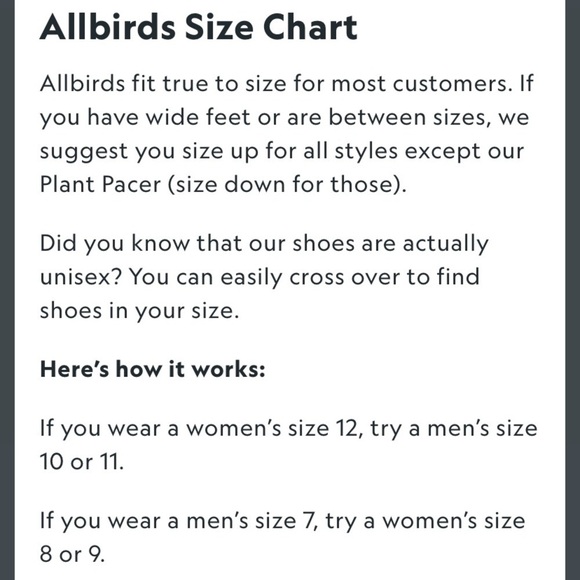 Allbirds Wood Loungers - Dapple Grey - size 7 - slip on - Picture 10 of 10